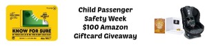 Child Passenger Safety Week $100 Amazon Giftcard Giveaway 18+ US Ends 10/1