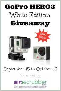 The Social Commerce Mom is participating in this GoPro Giveaway. http://heatherlopezenterprises.com/gopro-giveaway