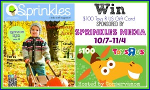 Win a $100 Toys R Us Giftcard! Ends 11/4