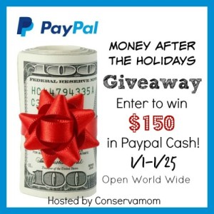 Win $150 PayPal Cash in the Money after the Holidays Giveaway! Ends 1/25