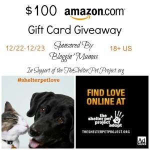 $100 Amazon Giftcard Giveaway in support of Shelter Pets