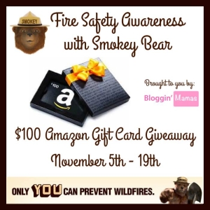 Fire Safety Awareness Giveaway with Smokey Bear- US 18+. Ends 11-19-15.